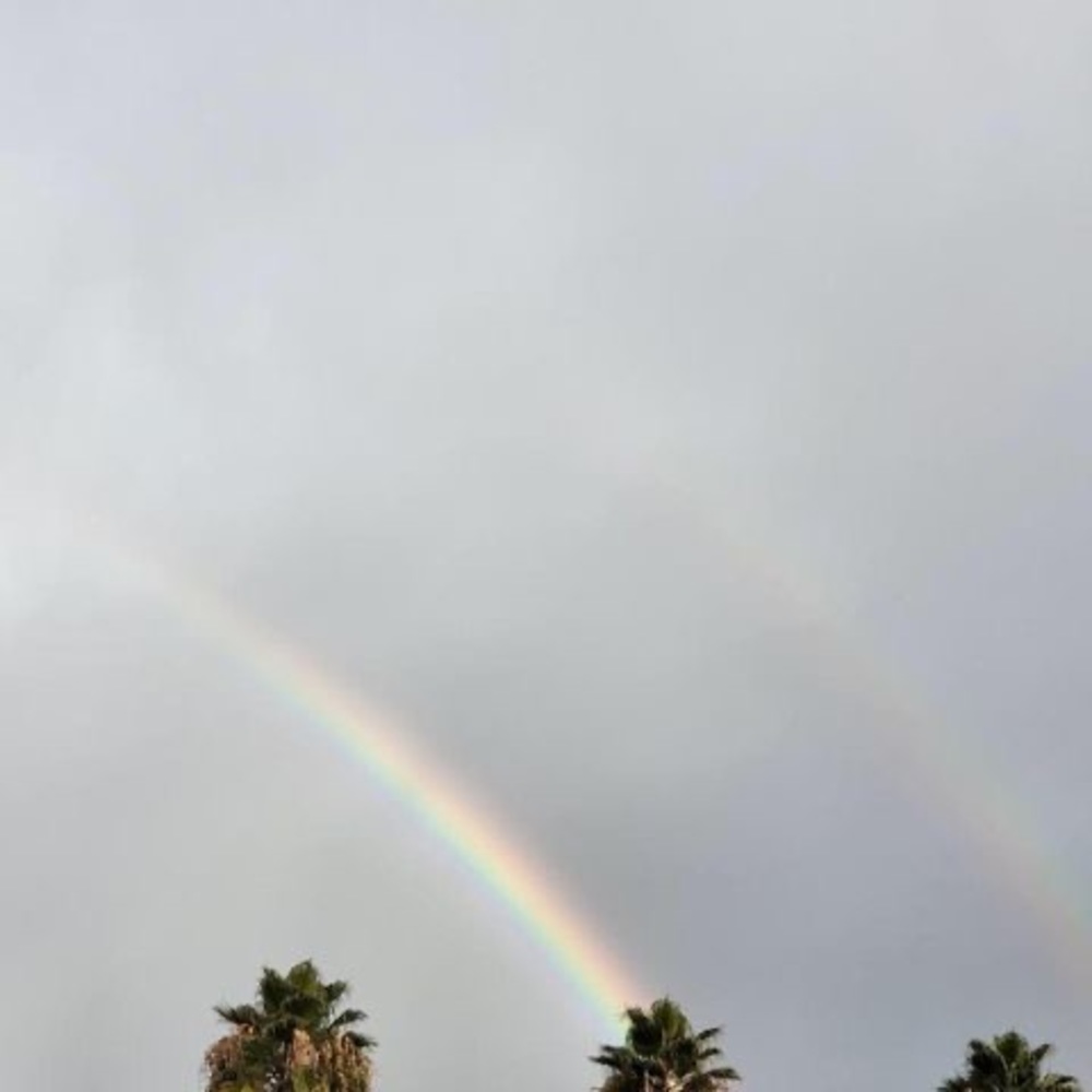 Meet your Posher, Vtby